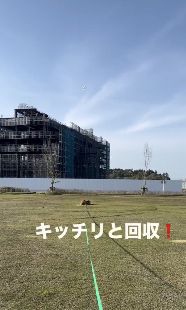追いついた