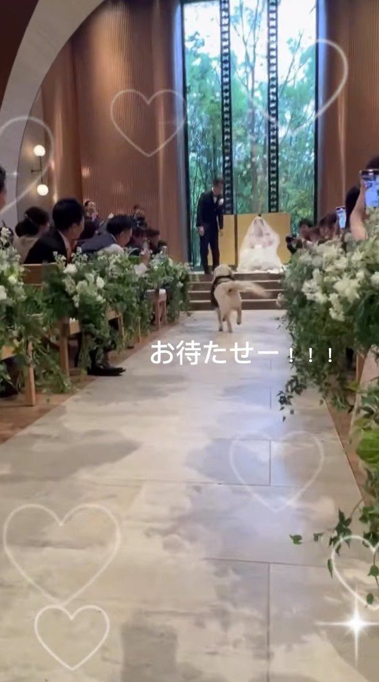 カゴを咥えて花嫁と花婿のところへ走っていく犬