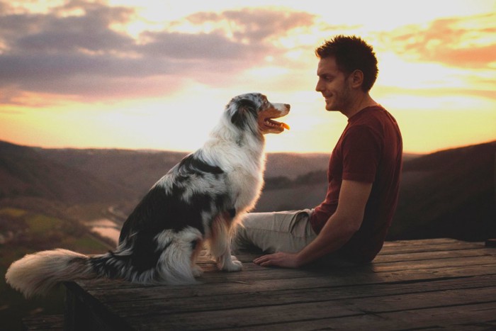 犬と男性