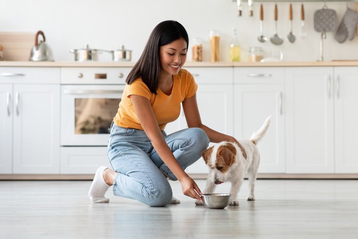 犬にごはんを与える女性