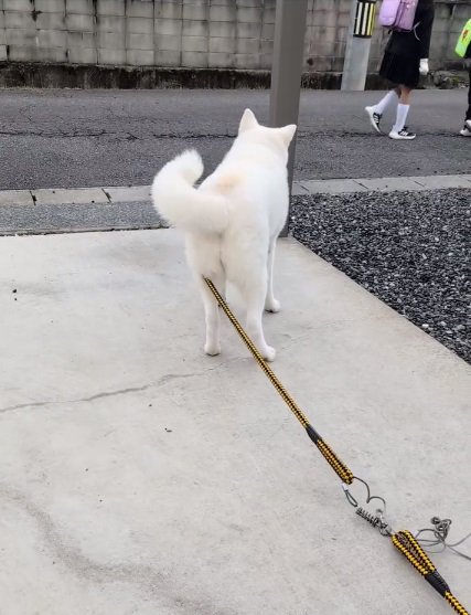 立ち去る小学生