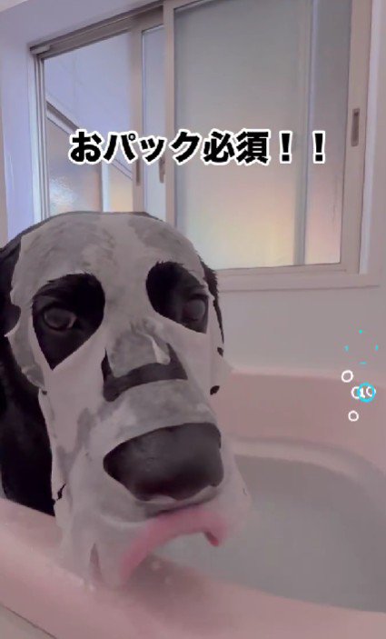 パックも欠かせない♡