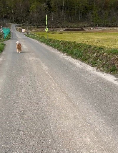 パパが1ヶ月半ぶりに帰宅