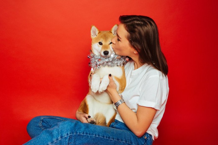 頬にキスをされる犬