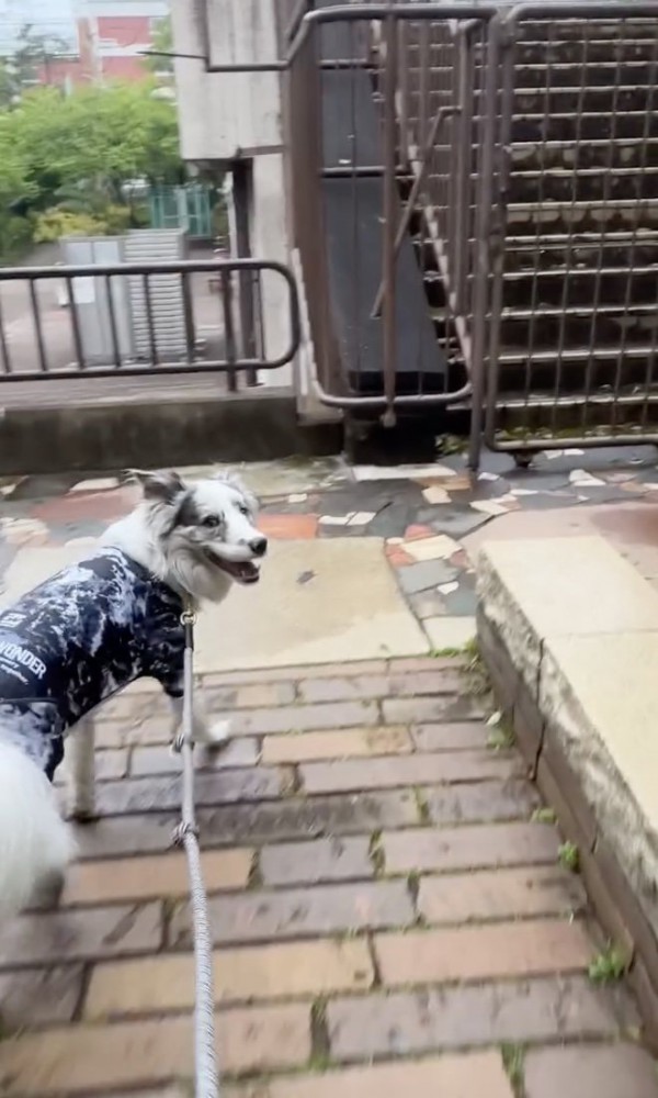 「おいでっ」