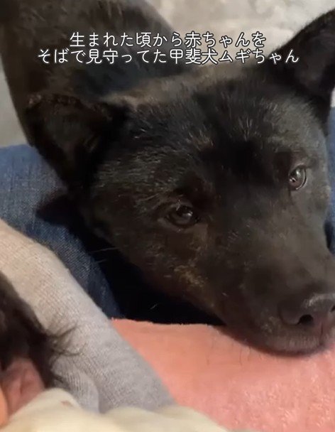 ツムギちゃんと娘さん