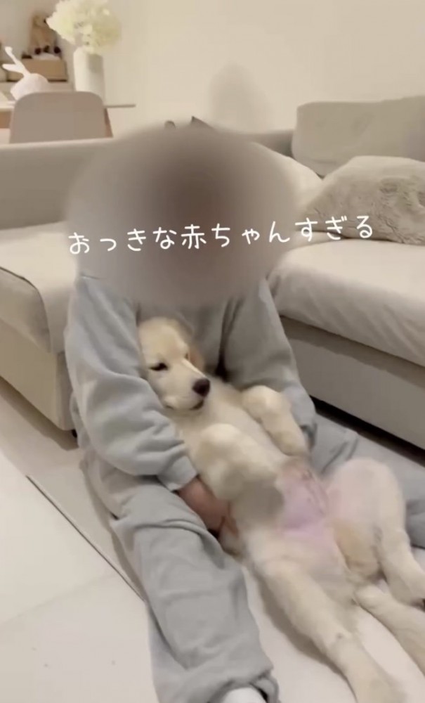すっぽり
