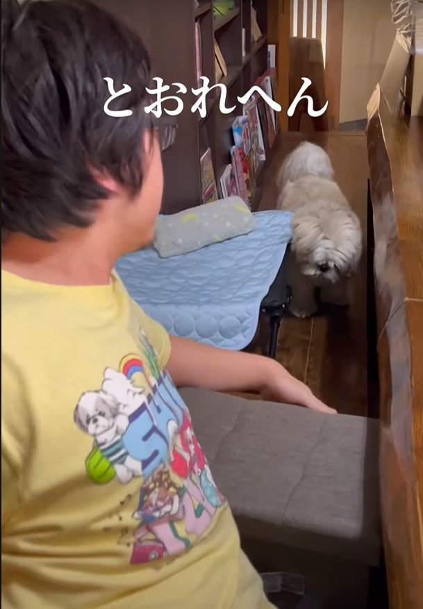 とおられへんと言う犬