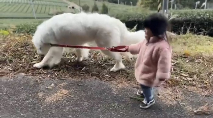 匂いを確かめる犬とリードを持つ子ども