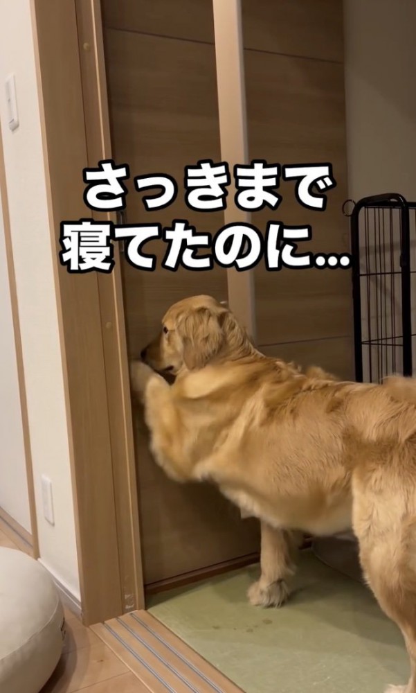 チョンッ