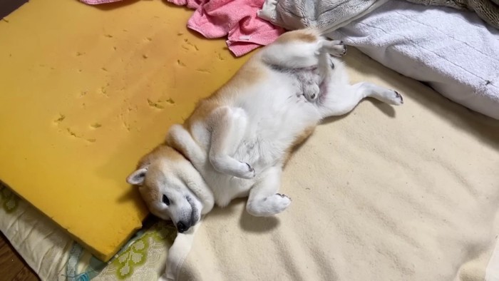 とりあえず受け入れる