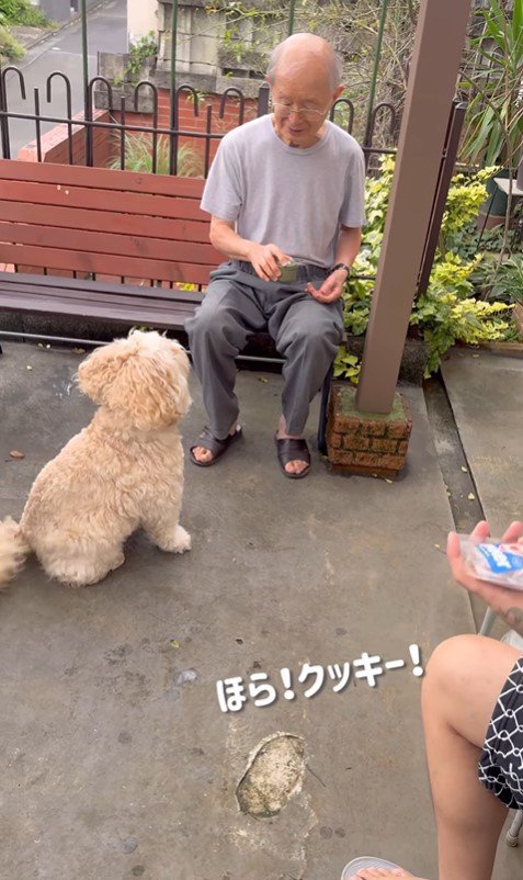 ご近所さんとかまぼこ君6