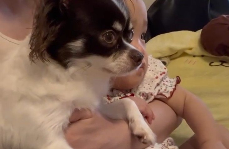 テレビ番組を観ていた