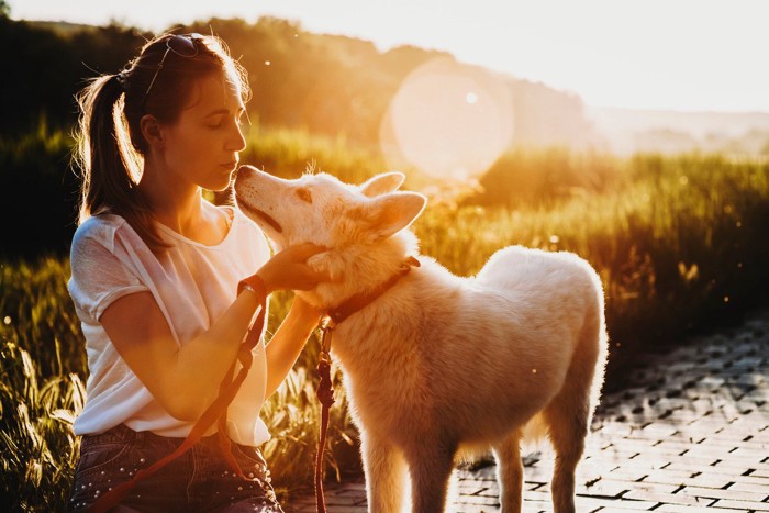 顔を向け合う女性と犬