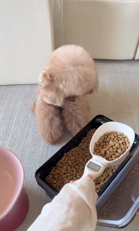 「これが今日のご飯…結構多い…！」