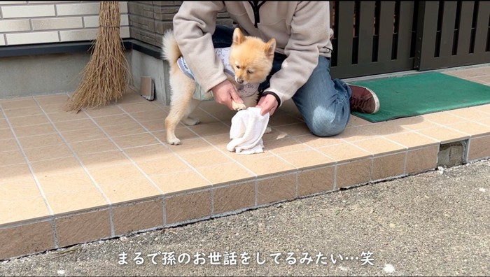 犬の足をタオルで拭く男性