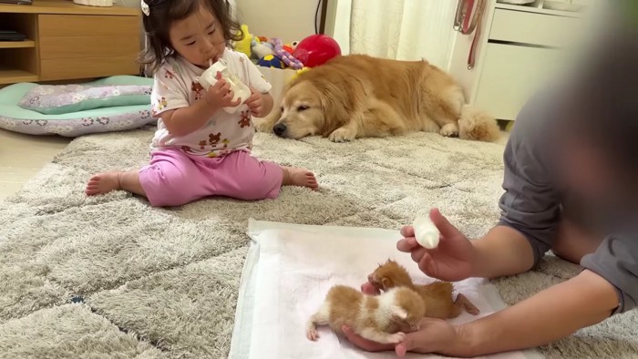 一緒にミルクを飲む一幕も♪
