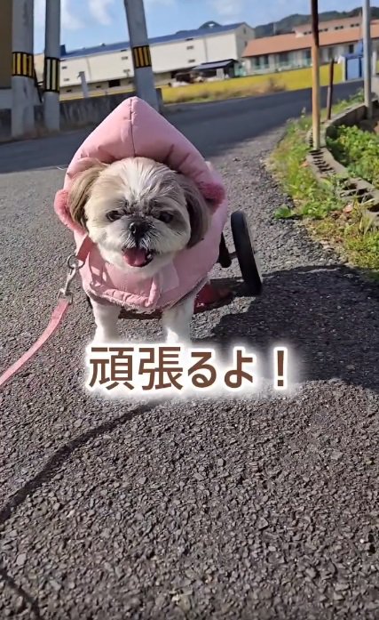 笑顔が眩しいコロンちゃん