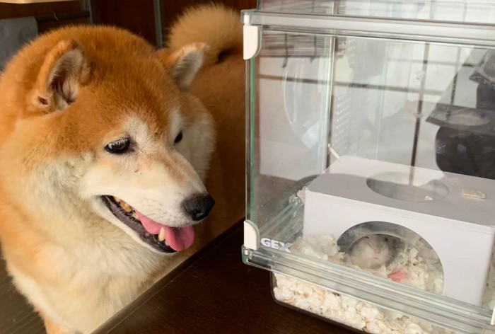 いつでも見守っている