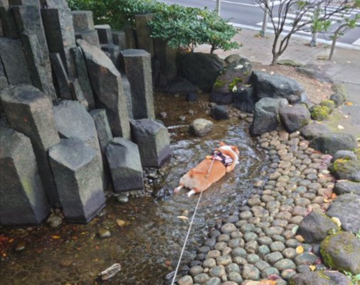 食パン
