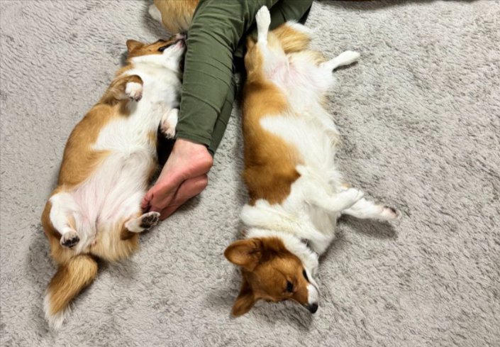 身体に