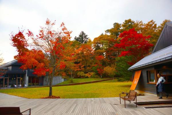 紅葉の中のトンボの湯