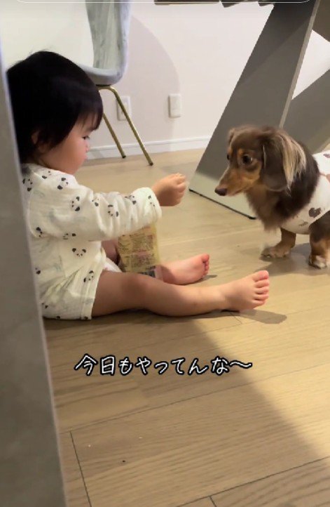 「ハイ、どう…」