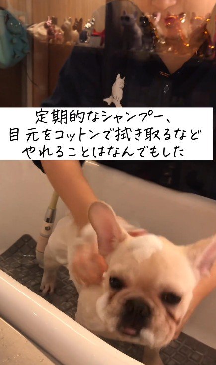 試行錯誤するも…