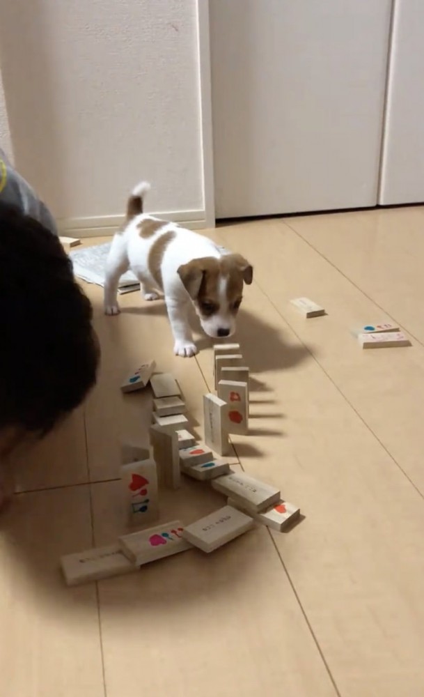 倒しちゃえー