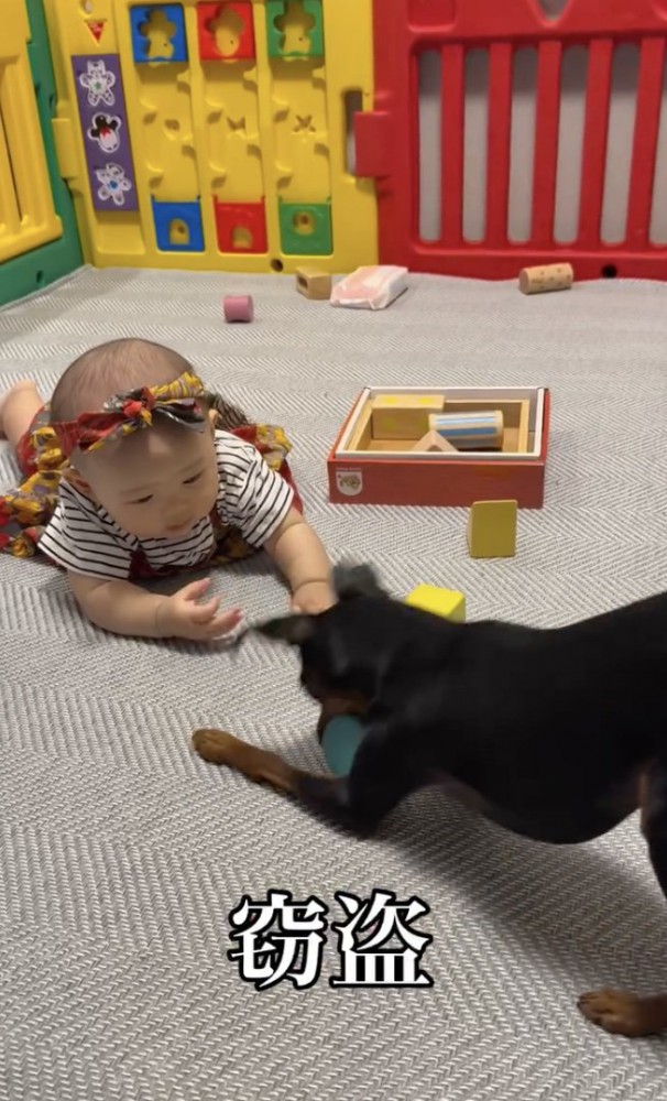 完全に現行犯