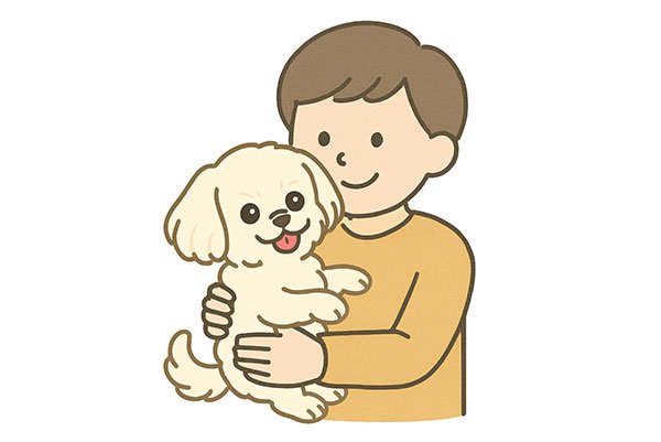 ペキプーの基本