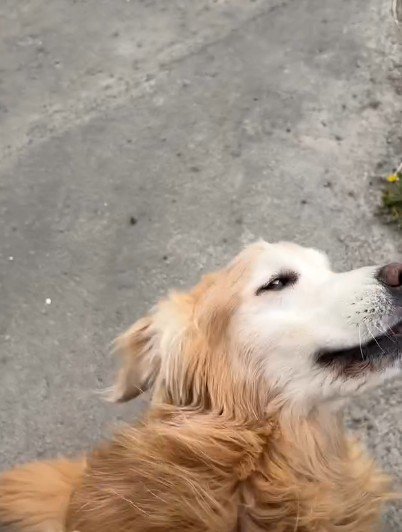 「一体どこ行ってたのー！」