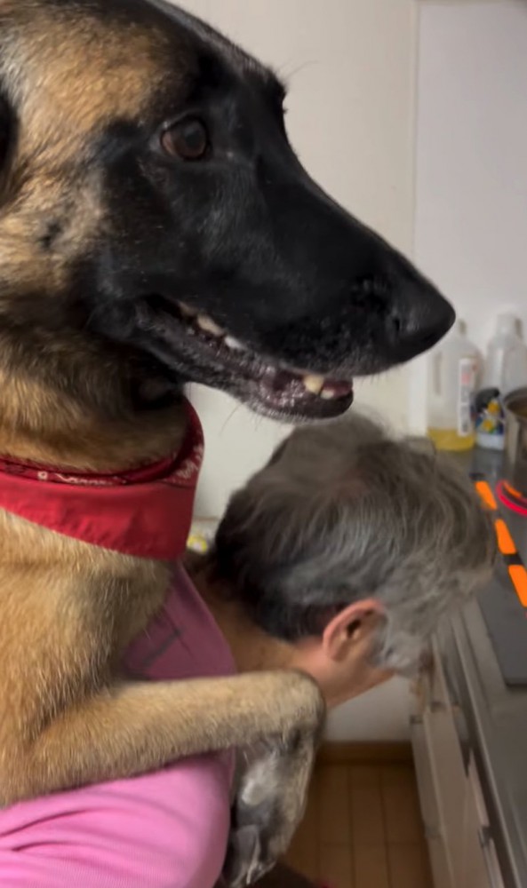 笑顔の大型犬