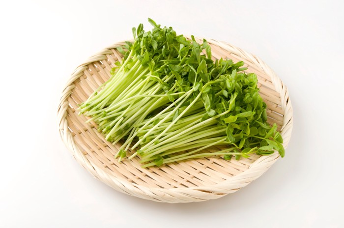 ざるの上に置かれた豆苗