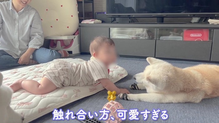 穏やかで優しい時間