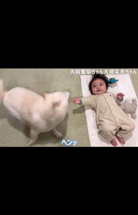 はしゃぐおまめ君＆笑う赤ちゃん