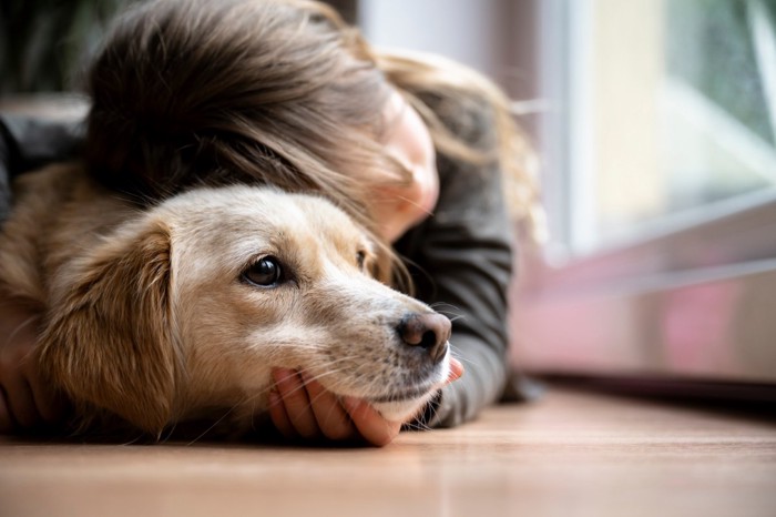 休む犬を抱きしめる女の子