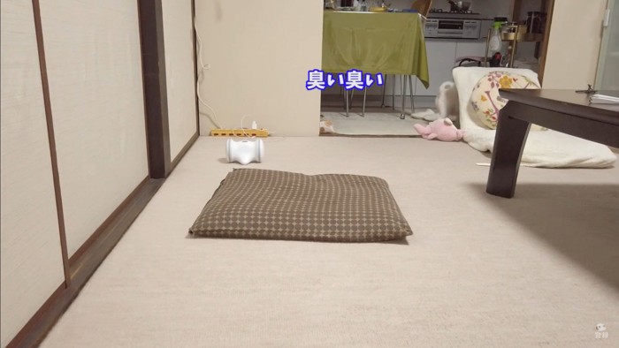 オナラをしてしまったコハクくん⑩
