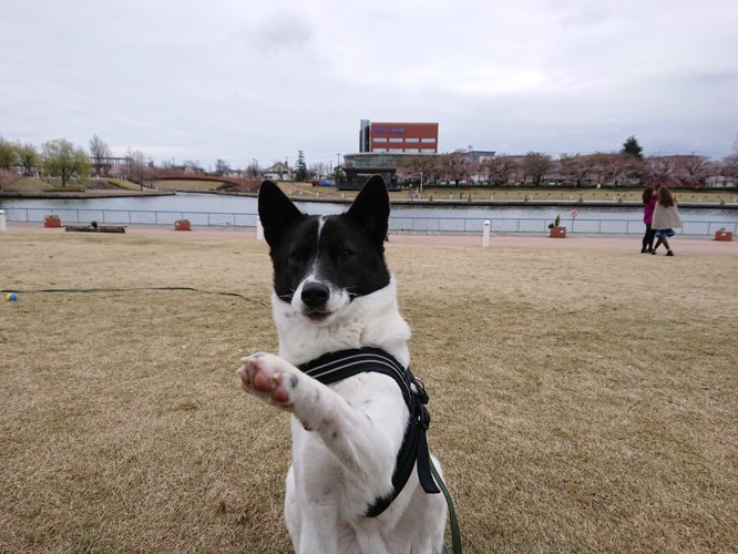 大好きな公園で