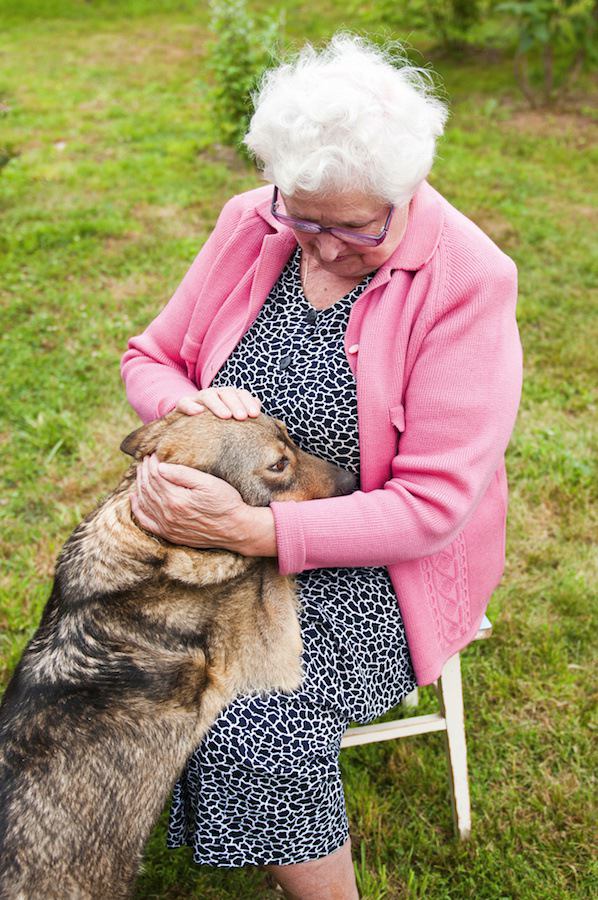 老婆に甘える犬