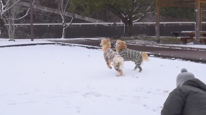 公園ではしゃぐ