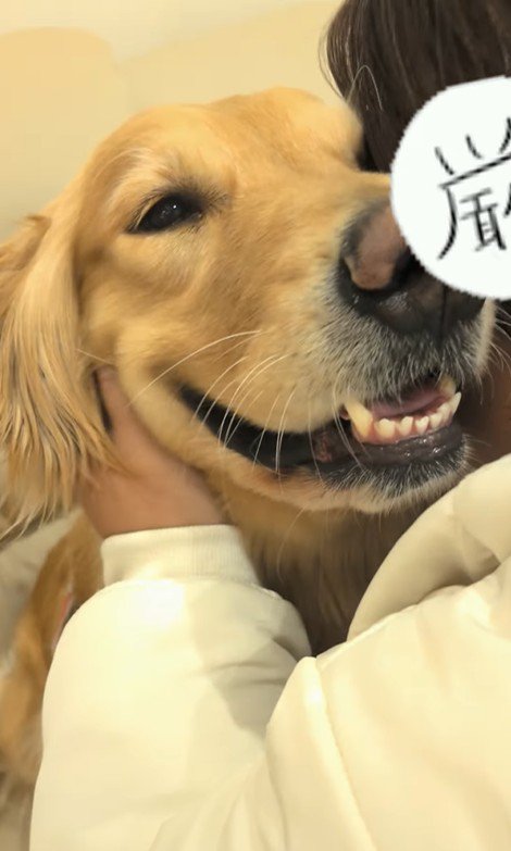 まるちゃんとママさんの再会⑩