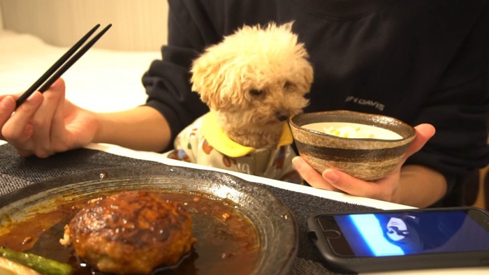 飼い主さんのハンバーグも魅力的…！