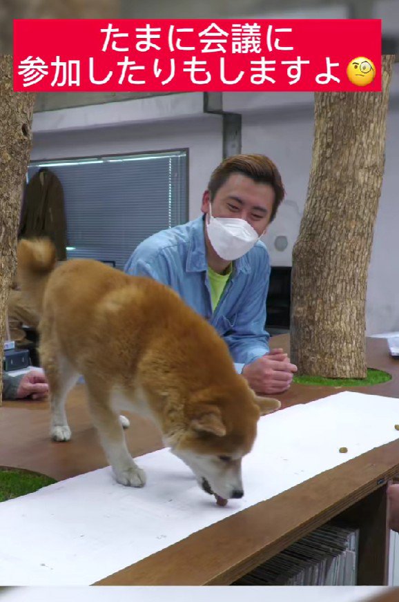 「このプランでいこう！！」