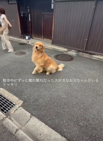 「あれは絶対お兄ちゃん！」