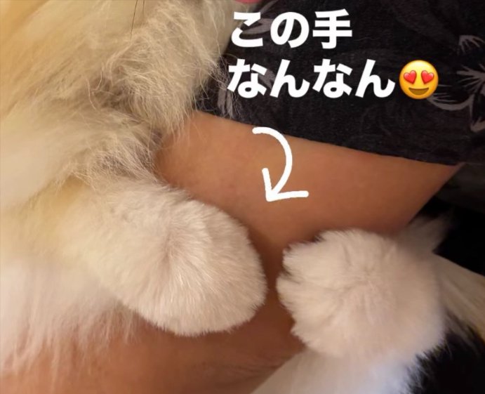 可愛すぎる