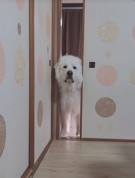 「ちょっといいかな…」