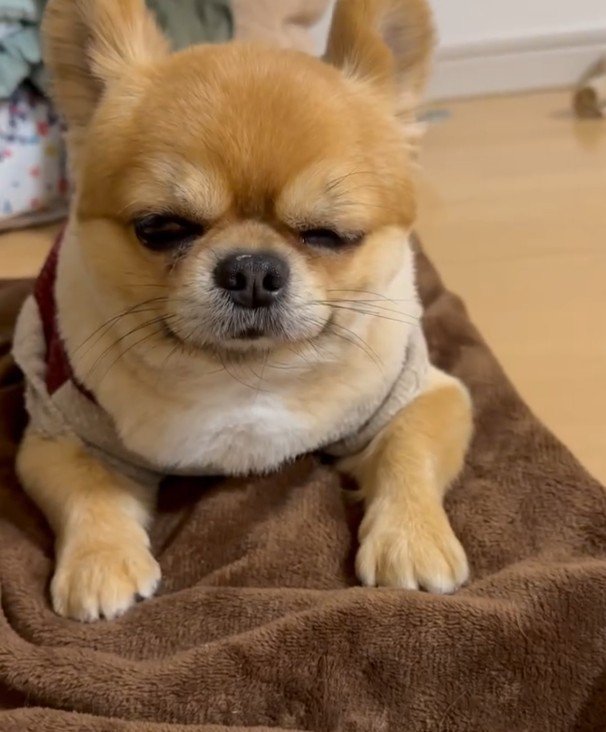 あからさまに不機嫌に!!