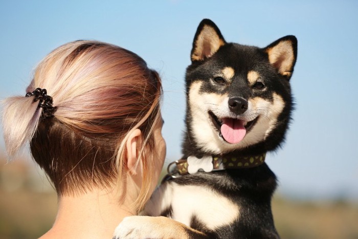 女性に抱っこされる柴犬