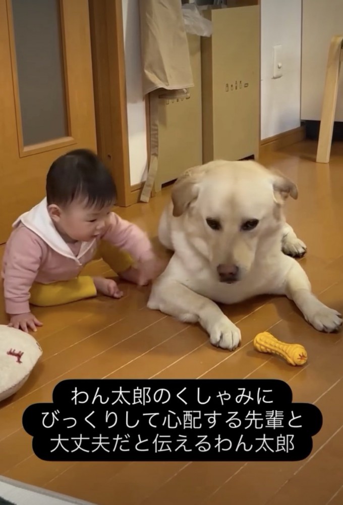 「だいじょうぶ?」
